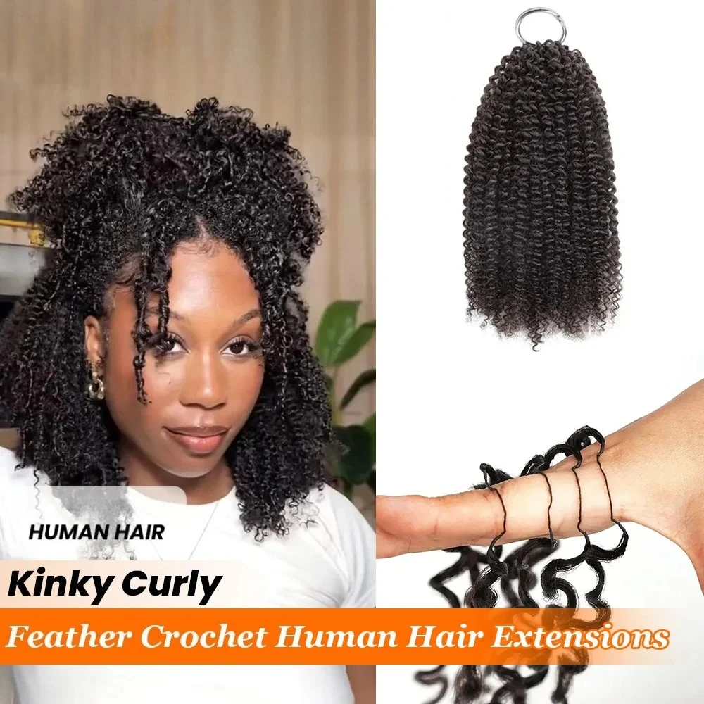 16-дюймовые кудрявые волосы для наращивания 3-го поколения, имитирующие перья, для женщин, без узлов, с невидимыми прядями, предварительно разделенные
16-дюймовые кудрявые волосы для наращивания 3-го поколения, имитирующие перья, для женщин, без узлов, с невидимыми прядями, предварительно разделенные