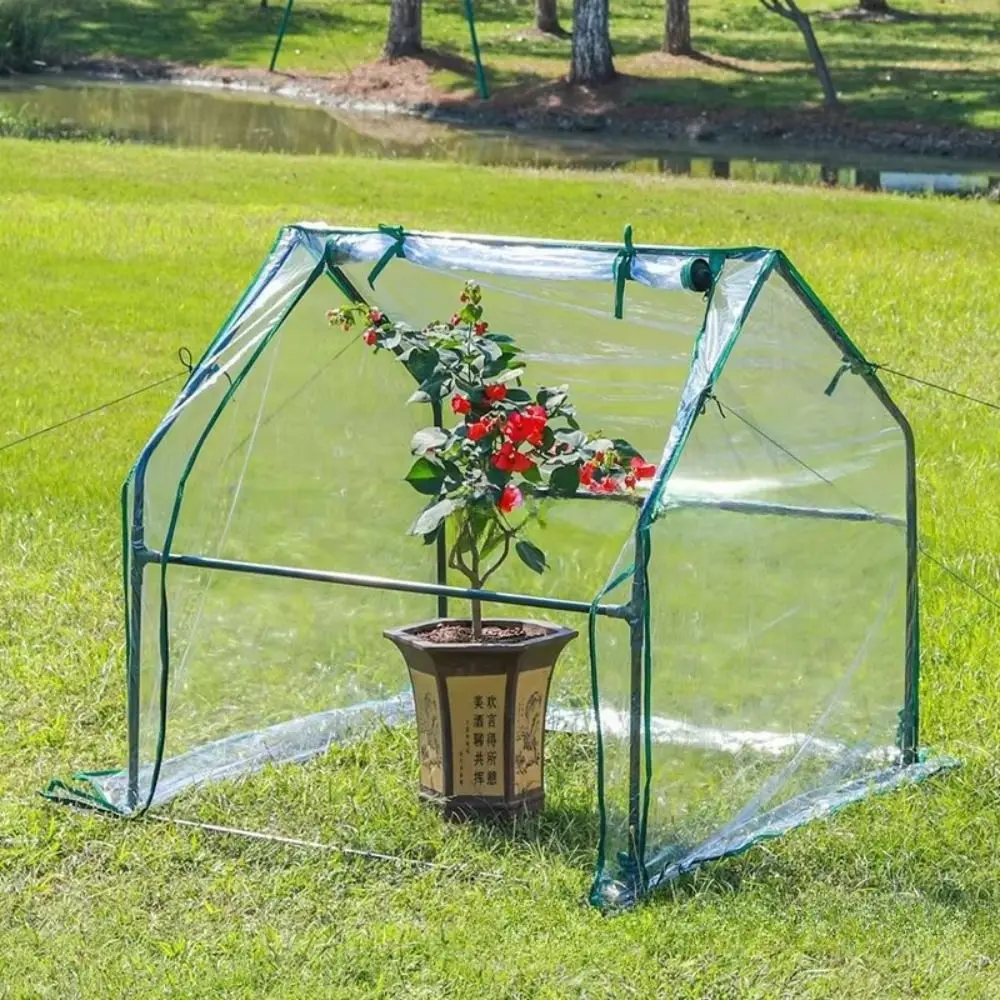 Transparent Mini Plant Greenhouse Plastic Efficient Protect Plant Grow Tent Waterproof Bird-proof Insulation Cover Home Garden
Transparent Mini Plant Greenhouse Plastic Efficient Protect Plant Grow Tent Waterproof Bird-proof Insulation Cover Home Garden