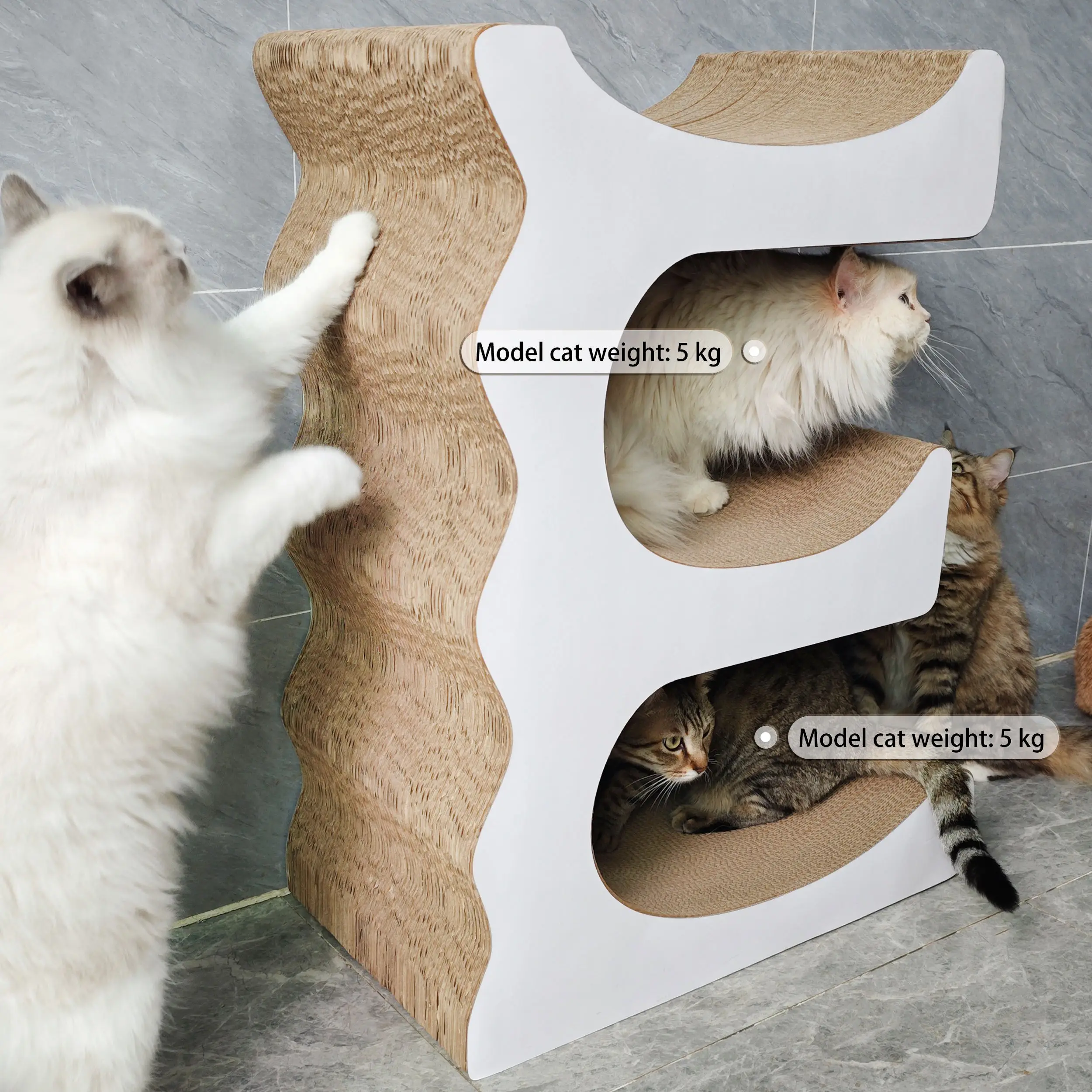 E-Shaped Luxury Modern Premium Cat Scratcher 1-Level Heavy-Duty Climbing Gym Eco-Friendly Carton Non-Tip Sisal Indoor
E-Shaped Luxury Modern Premium Cat Scratcher 1-Level Heavy-Duty Climbing Gym Eco-Friendly Carton Non-Tip Sisal Indoor