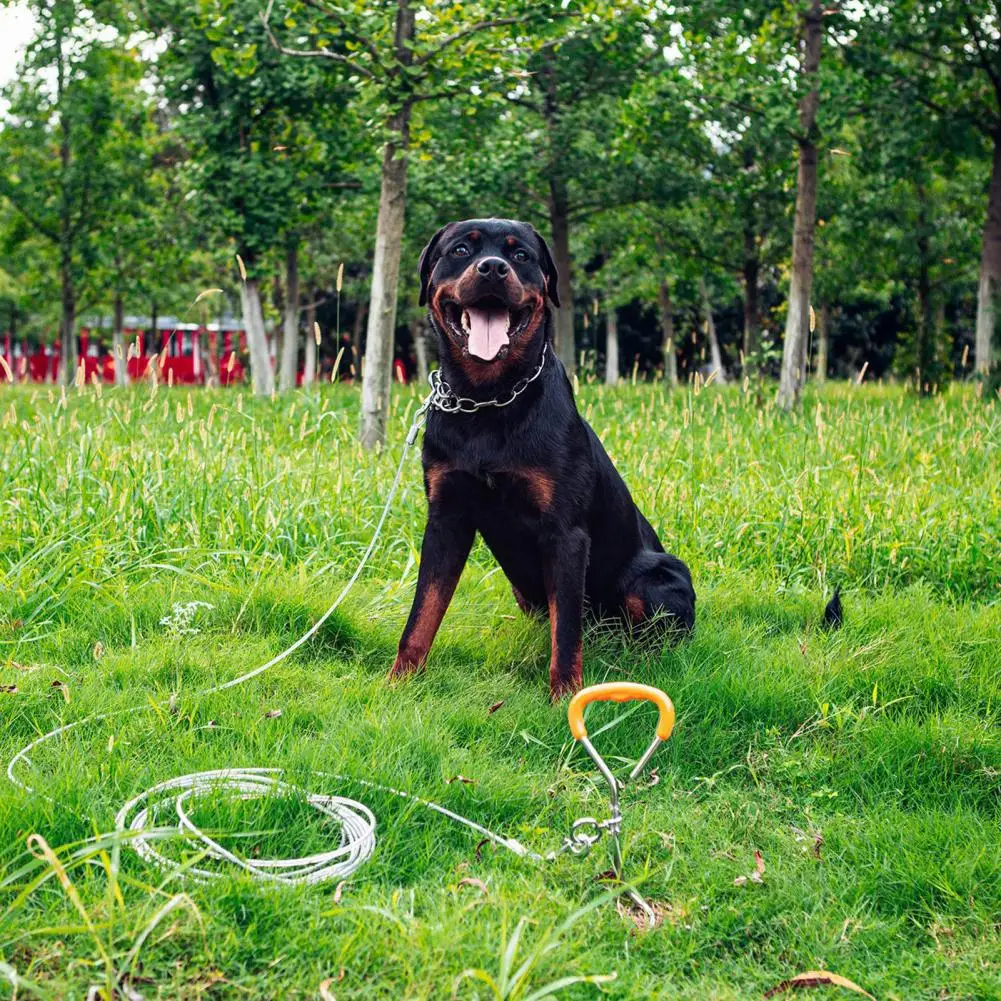 Dog Spike Practical 360 Degree Rotating Ring Sturdy Training Camping Dog Stake Outdoor Play
Dog Spike Practical 360 Degree Rotating Ring Sturdy Training Camping Dog Stake Outdoor Play