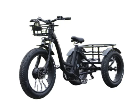 2022 EU Popular Hot seller Electric cargo tricycle with 3 wheels Mobility Electric Vehicle Express Delivery with 750w 48v
2022 EU Popular Hot seller Electric cargo tricycle with 3 wheels Mobility Electric Vehicle Express Delivery with 750w 48v