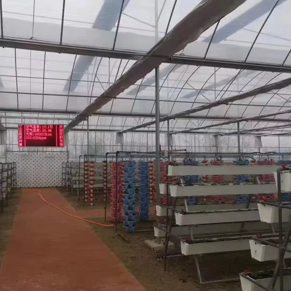 Customized greenhouseProfessional Multi-Span Plastic Film Greenhouse for Strawberry Hydroponics System, Automated Ventilation Op
Customized greenhouseProfessional Multi-Span Plastic Film Greenhouse for Strawberry Hydroponics System, Automated Ventilation Op