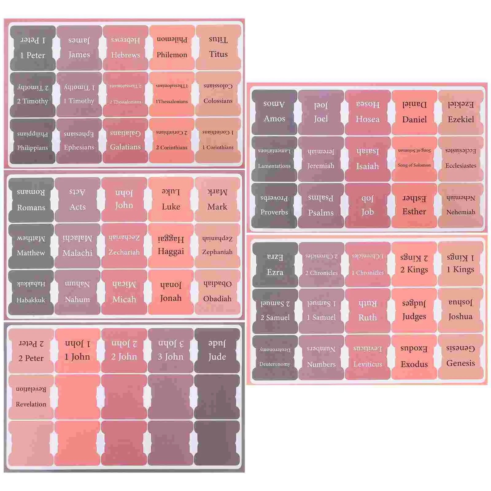 5 Sheets Bible Index Tags Books Of The Tabs For Women Kids Chapters Markers Dividers
5 Sheets Bible Index Tags Books Of The Tabs For Women Kids Chapters Markers Dividers
