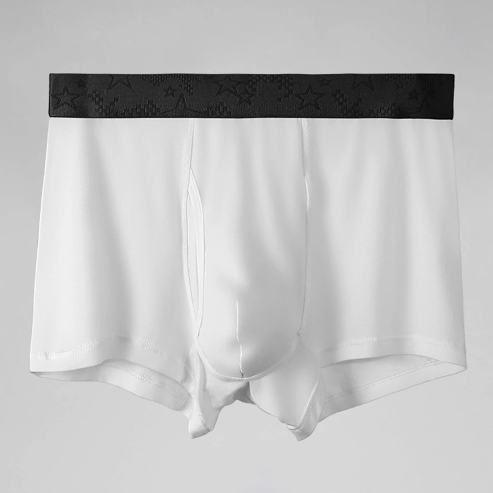 Solid Color Panties Breathable Boxer Briefs Active Lifestyle Blue Breathable Pouch Underwear Men Classic Style
Solid Color Panties Breathable Boxer Briefs Active Lifestyle Blue Breathable Pouch Underwear Men Classic Style