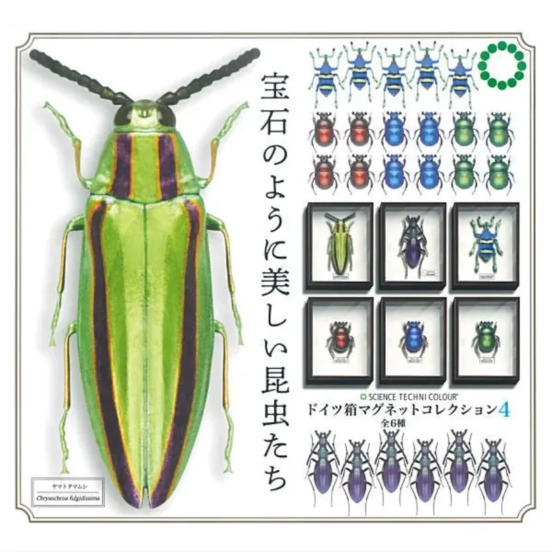 Япония Ikimon Gashapon, капсульная игрушка, образцы насекомых, коробка серии 4, миниатюрная декоративная модель, коллекция
Япония Ikimon Gashapon, капсульная игрушка, образцы насекомых, коробка серии 4, миниатюрная декоративная модель, коллекция