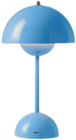 Modern Flowerpot , 3 Colors Dimmable Bedside Night Lamp, Cordless Touch Button Rechargeable Desk Lamp, Nordic Minimalist Mushroo
Modern Flowerpot , 3 Colors Dimmable Bedside Night Lamp, Cordless Touch Button Rechargeable Desk Lamp, Nordic Minimalist Mushroo