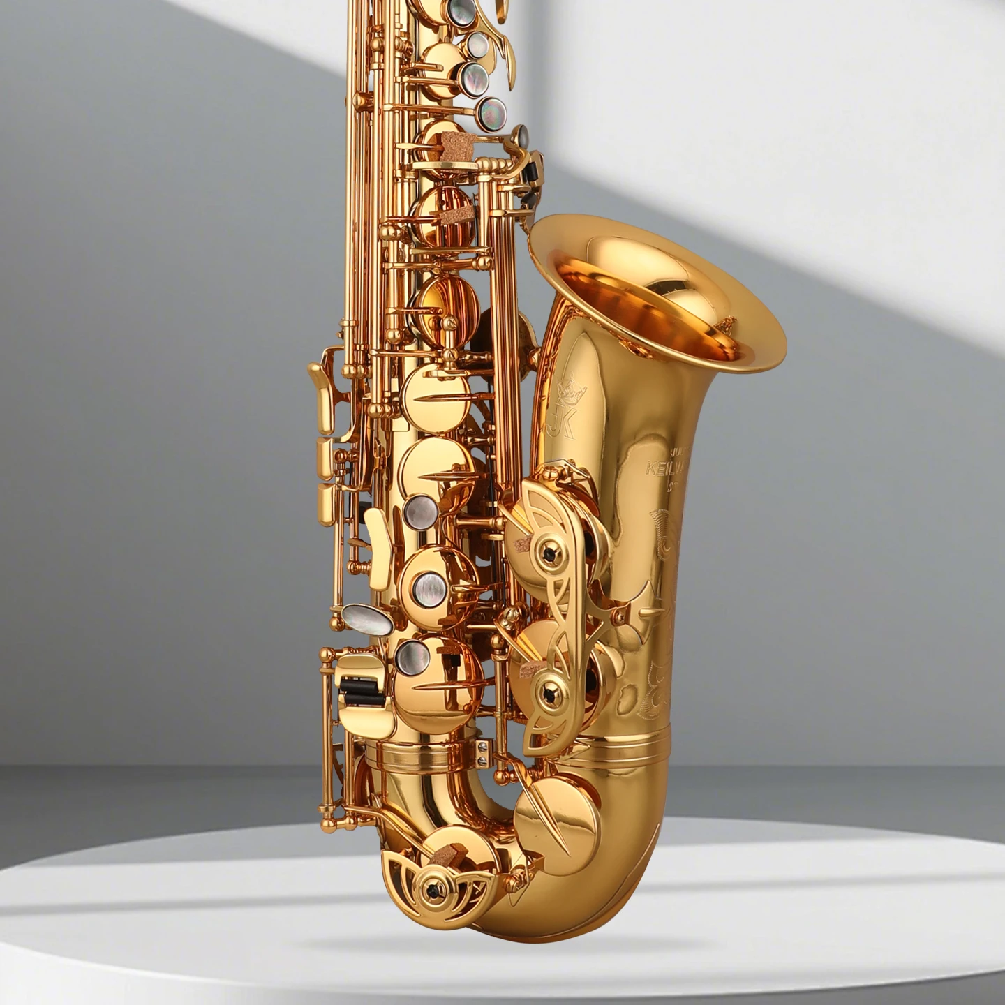 Germany JK-Keilwerth Eb ALTO Saxophone SAX ST118 Lacquer Gold
Germany JK-Keilwerth Eb ALTO Saxophone SAX ST118 Lacquer Gold