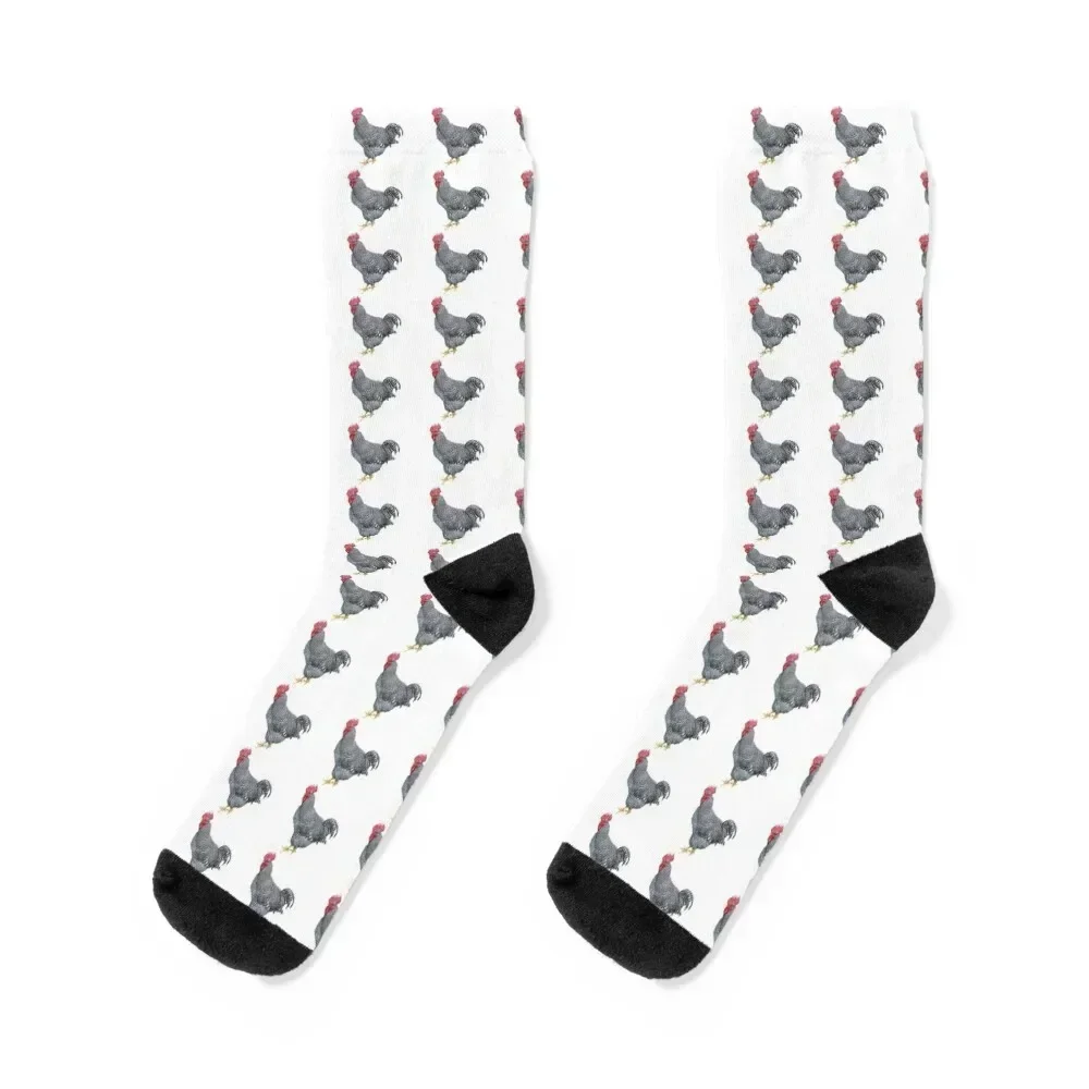 Barred Rock Rooster Socks floral professional running designer brand anti slip football Socks Girl Men's
Barred Rock Rooster Socks floral professional running designer brand anti slip football Socks Girl Men's