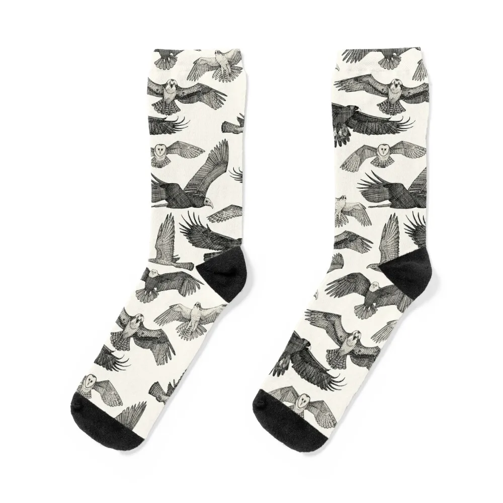 birds of prey black Socks custom sports happy professional running Man Socks Women's
birds of prey black Socks custom sports happy professional running Man Socks Women's
