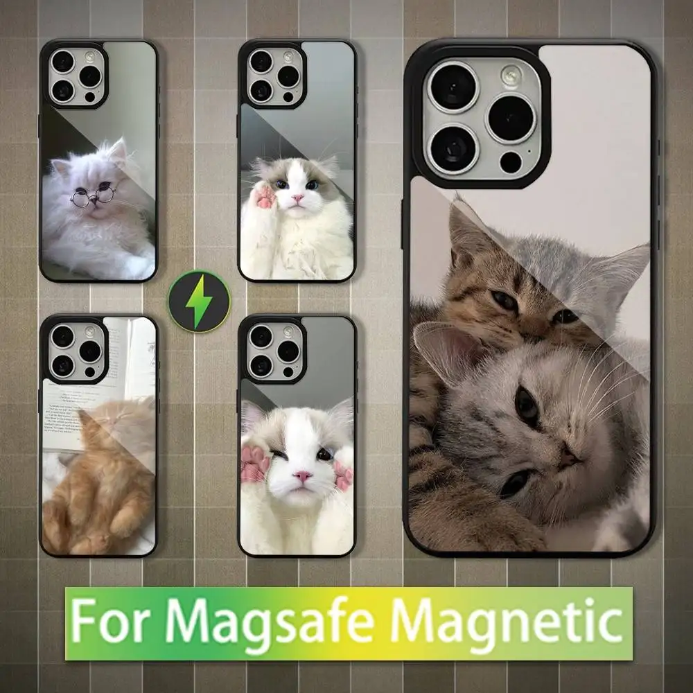 Cute Animals Cat For iPhone Mini,13,Max,11,15,17,14,Plus,12,Pro,16,For Magsafe,Magnetic Wireless Charging Case
Cute Animals Cat For iPhone Mini,13,Max,11,15,17,14,Plus,12,Pro,16,For Magsafe,Magnetic Wireless Charging Case