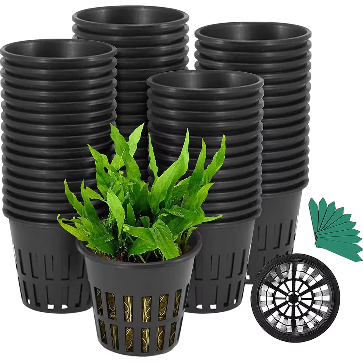 Net Pot 3 Inch Garden Slotted Mesh Net Cups Mesh Pots with 50Pcs Plant Labels Hydroponic Planting Pot Grow Basket Indoor Outdoor
Net Pot 3 Inch Garden Slotted Mesh Net Cups Mesh Pots with 50Pcs Plant Labels Hydroponic Planting Pot Grow Basket Indoor Outdoor