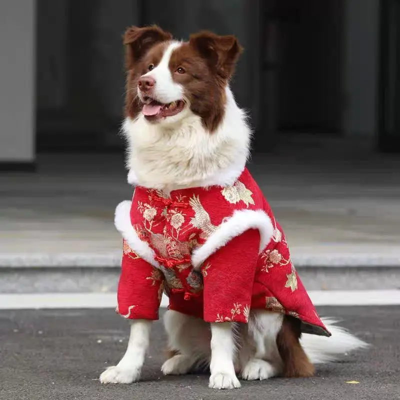 Dog Clothing for Small, Medium and Large-sized Golden Retrievers, Border Collies,Thick and Warm Cotton-padded Clothes,Tang Suits
Dog Clothing for Small, Medium and Large-sized Golden Retrievers, Border Collies,Thick and Warm Cotton-padded Clothes,Tang Suits
