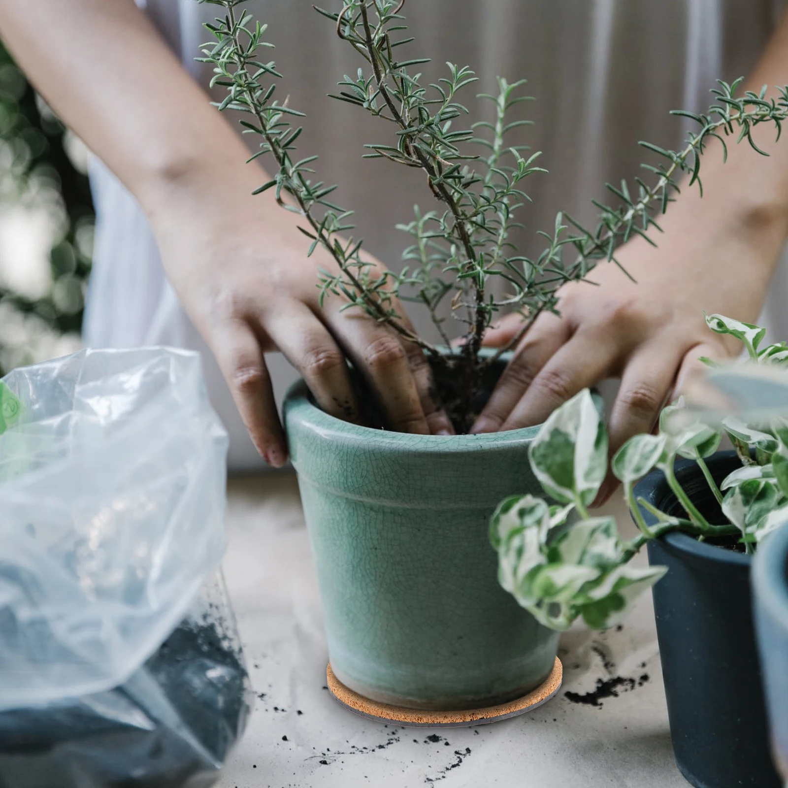 Flowerpot Pad Round Cork Plant Mat For Indoor Outdoor Use Diy Garden Tray Plant Saucer Plate Waterproof Spill Protector
Flowerpot Pad Round Cork Plant Mat For Indoor Outdoor Use Diy Garden Tray Plant Saucer Plate Waterproof Spill Protector