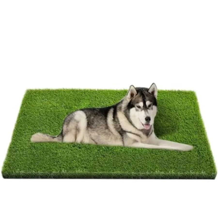 Artificial Grass "" Professional Dog Grass Mat Potty Training Rug and Replacement Turf Outdoor Rug Patio Lawn Decoration Easy t
Artificial Grass "" Professional Dog Grass Mat Potty Training Rug and Replacement Turf Outdoor Rug Patio Lawn Decoration Easy t