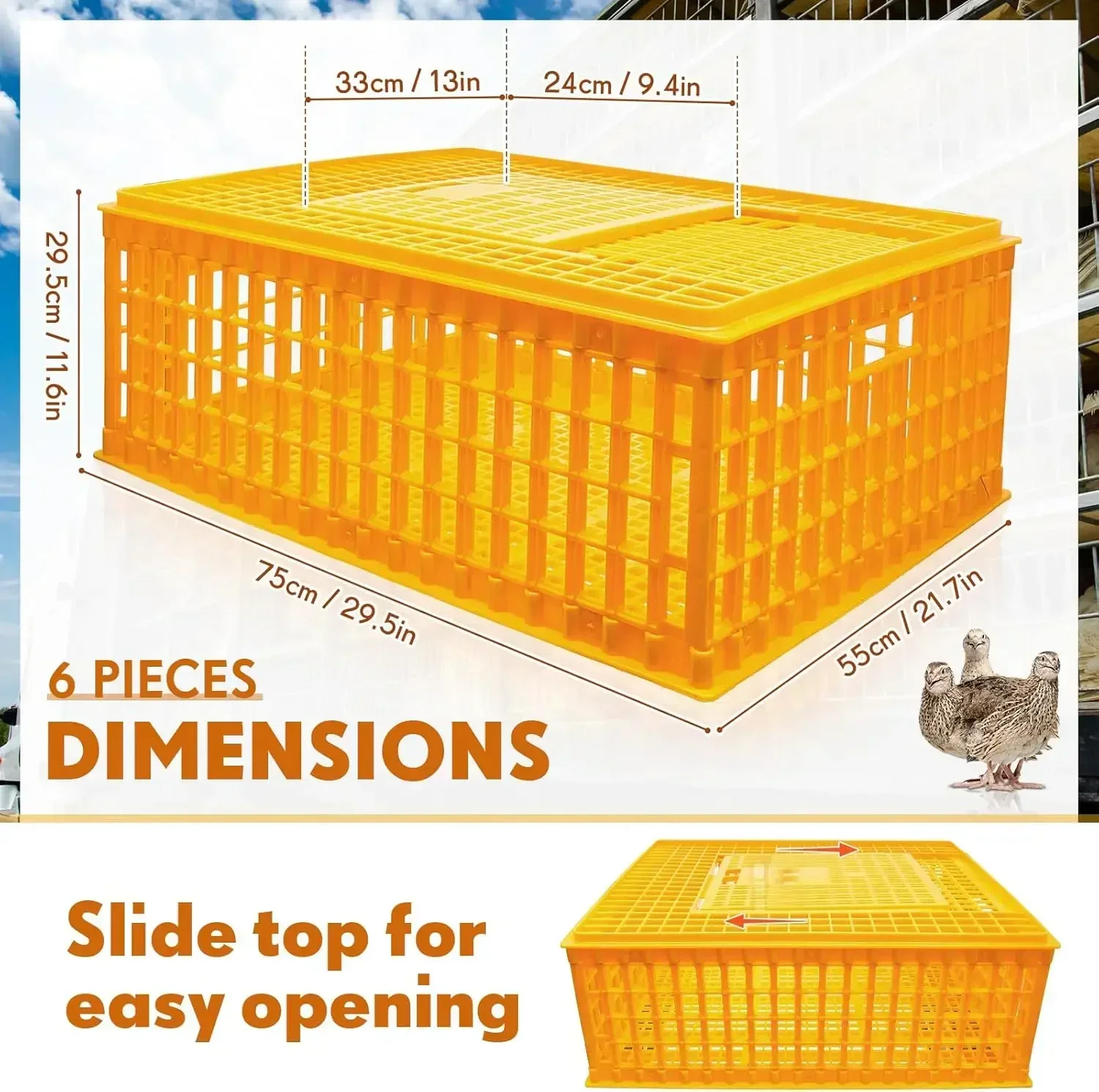 Poultry Carrier Crate Plastic Chicken Transport Cage Bird Carriers Chickens Carrier Travel Crate Basket Box for Poultry Chicken
Poultry Carrier Crate Plastic Chicken Transport Cage Bird Carriers Chickens Carrier Travel Crate Basket Box for Poultry Chicken