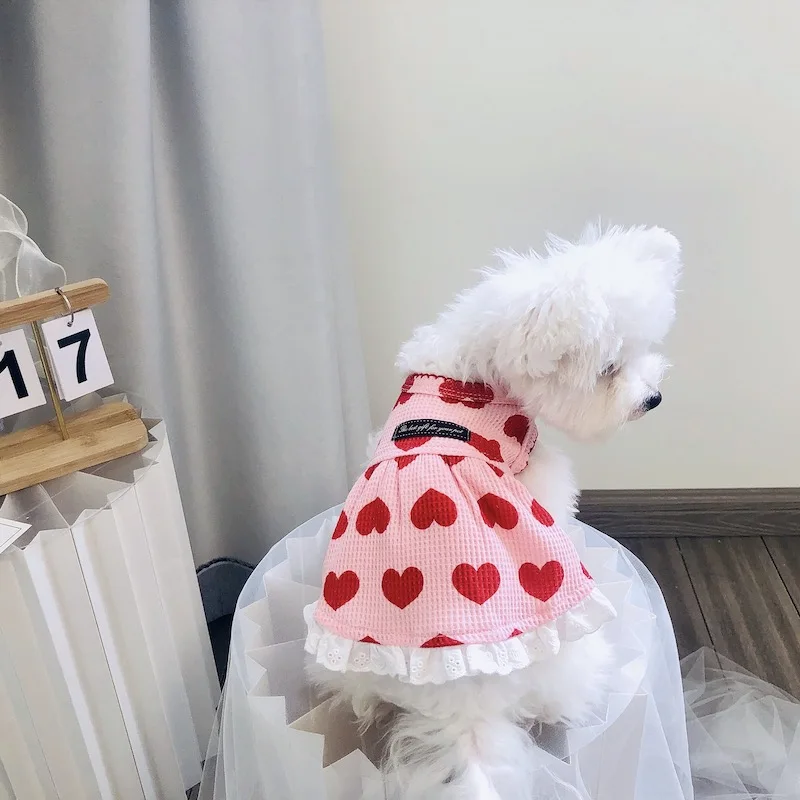 Korean Pink White Puppy Dog Clothing Spring Thin Cotton Heart Print Party Dresses For Small Medium Dog Chihuahua Pet Dog Clothes
Korean Pink White Puppy Dog Clothing Spring Thin Cotton Heart Print Party Dresses For Small Medium Dog Chihuahua Pet Dog Clothes