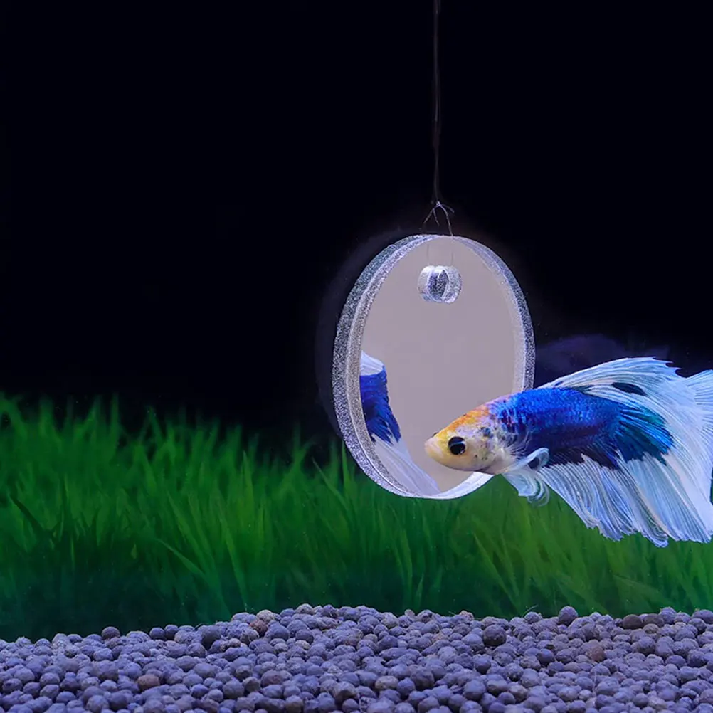 1 set Fish Tank Mirror Acrylic Plastic Floating Betta Mirror Floating Fish Tank Mirror Decorative Betta Tank Toy
1 set Fish Tank Mirror Acrylic Plastic Floating Betta Mirror Floating Fish Tank Mirror Decorative Betta Tank Toy