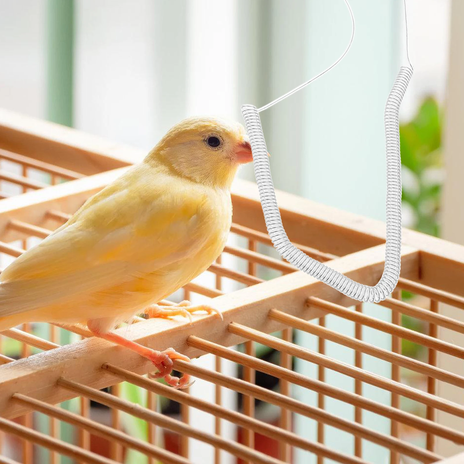 3 Meters Flying Rope Leg Ring Set Parakeet Elastic Harness Foot Bird Cage Accessories Parrot Leash Training for Small
3 Meters Flying Rope Leg Ring Set Parakeet Elastic Harness Foot Bird Cage Accessories Parrot Leash Training for Small