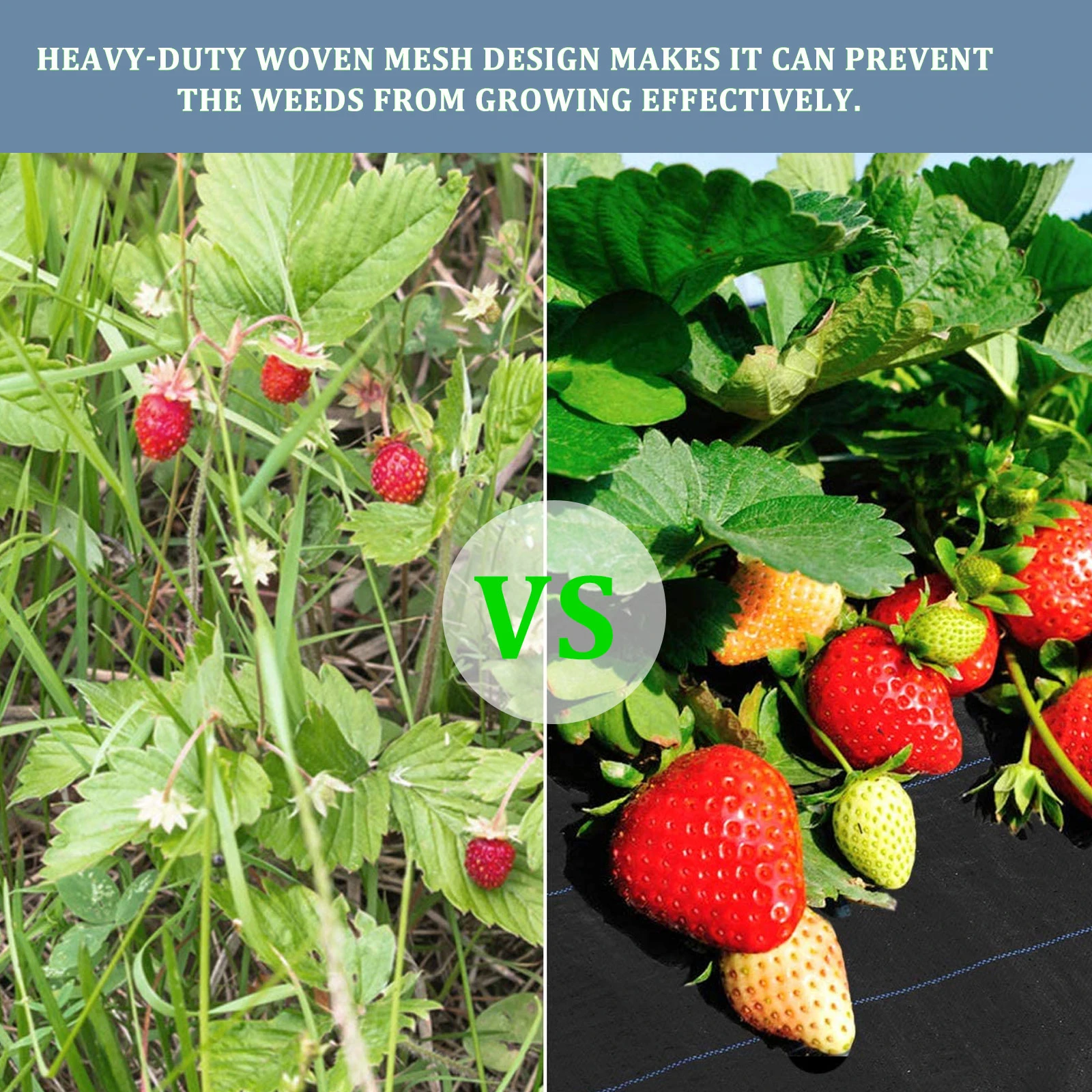 L Heavy Duty Ground Weed Protector Professional Grade Pe Material Garden Outdoor Ground Cover Barrier
L Heavy Duty Ground Weed Protector Professional Grade Pe Material Garden Outdoor Ground Cover Barrier