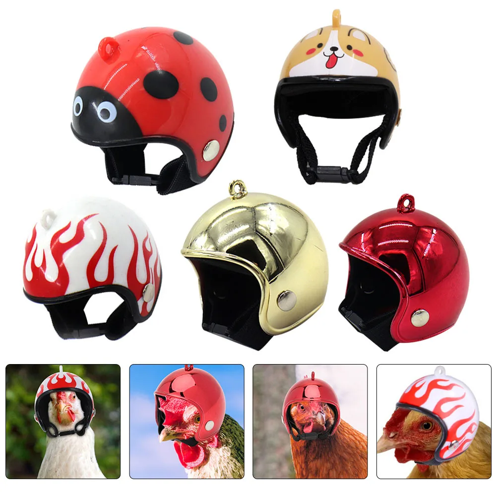 5 Pcs Protection Chicken Helmets Small Chickens Protective Caps Interesting Pet Funny Creative Hat
5 Pcs Protection Chicken Helmets Small Chickens Protective Caps Interesting Pet Funny Creative Hat