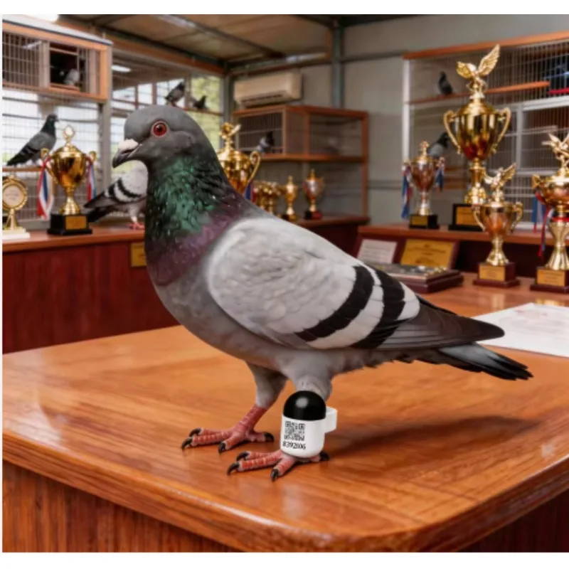 Real-Time GPS locator for Pigeons and Loros Outdoor Flight locator Leg Bands and Ring Pigeon Bird Positioning waterproof
Real-Time GPS locator for Pigeons and Loros Outdoor Flight locator Leg Bands and Ring Pigeon Bird Positioning waterproof