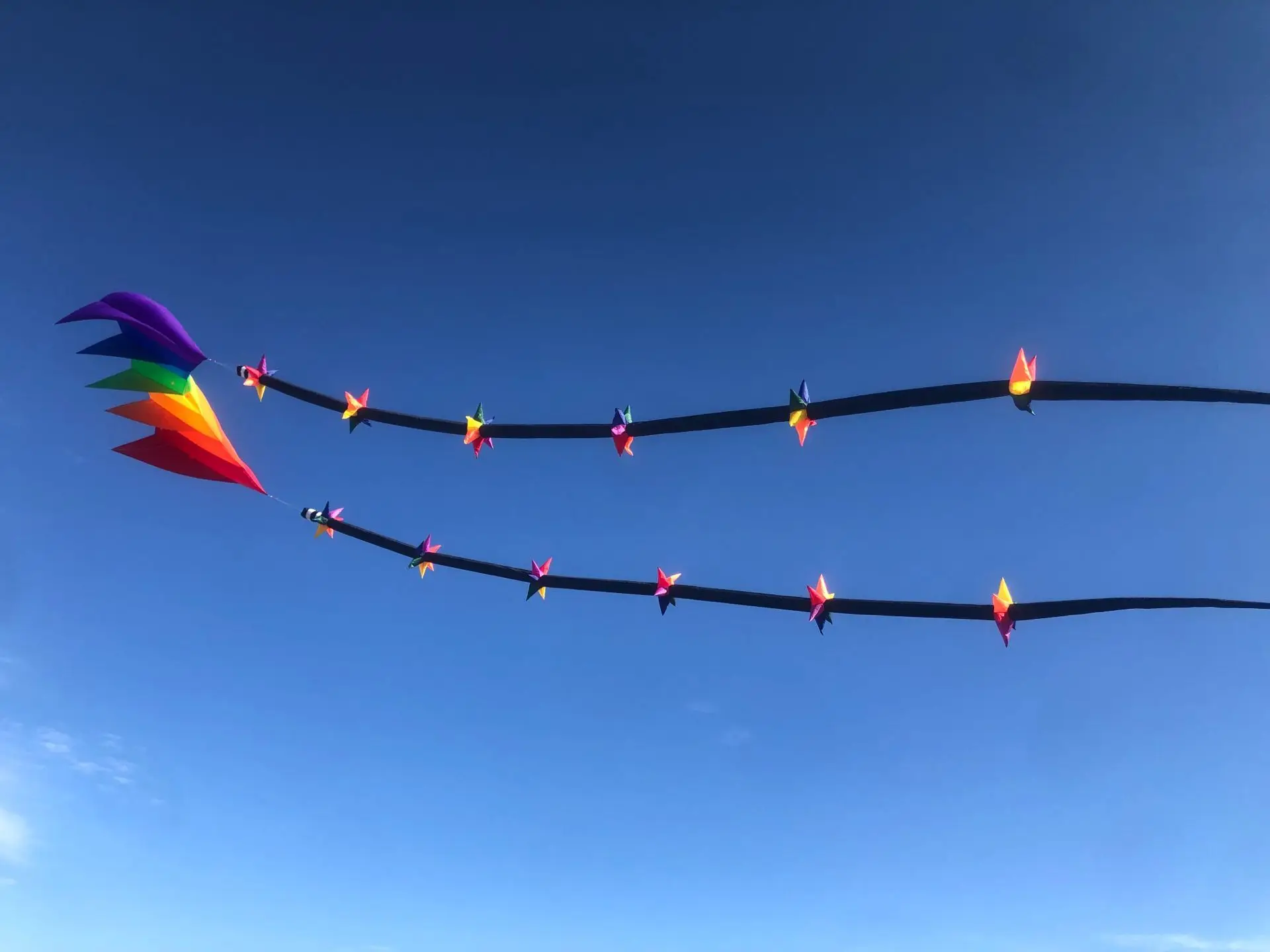 new arrival 18m kite Long star tube windsock kite tail
new arrival 18m kite Long star tube windsock kite tail