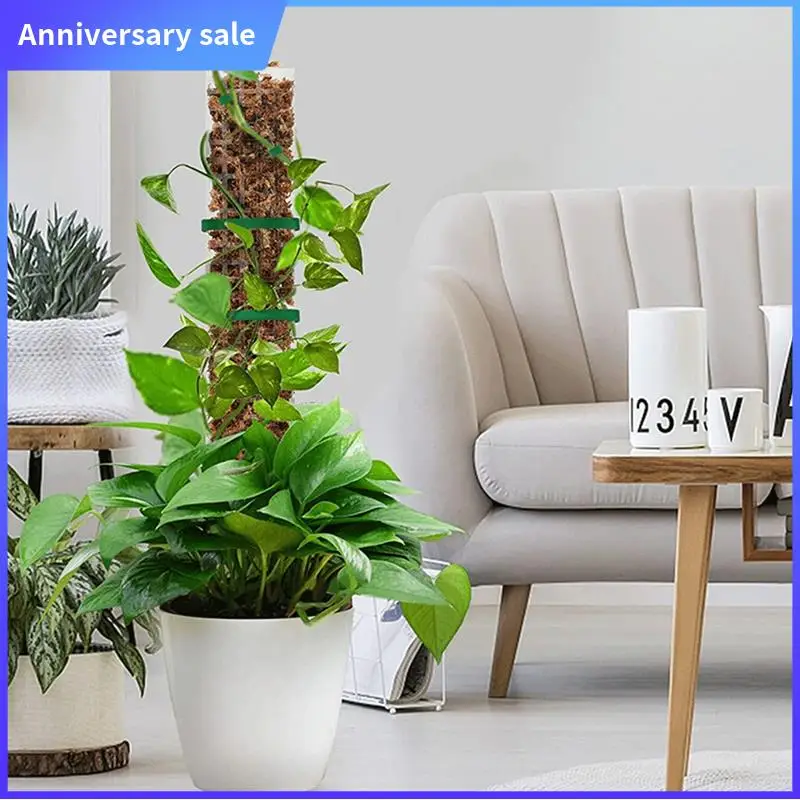 AD23-Moss Pole Plastic Plant Stand Indoor Climbing Plants Tutors Moss Stick For Plants Growth Support Accessories
AD23-Moss Pole Plastic Plant Stand Indoor Climbing Plants Tutors Moss Stick For Plants Growth Support Accessories