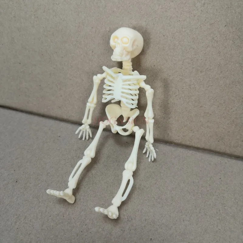 Orthopedic Model Human Big Skeleton Model Skeleton Skeleton School Teaching Supplies Elementary School Junior High School
Orthopedic Model Human Big Skeleton Model Skeleton Skeleton School Teaching Supplies Elementary School Junior High School