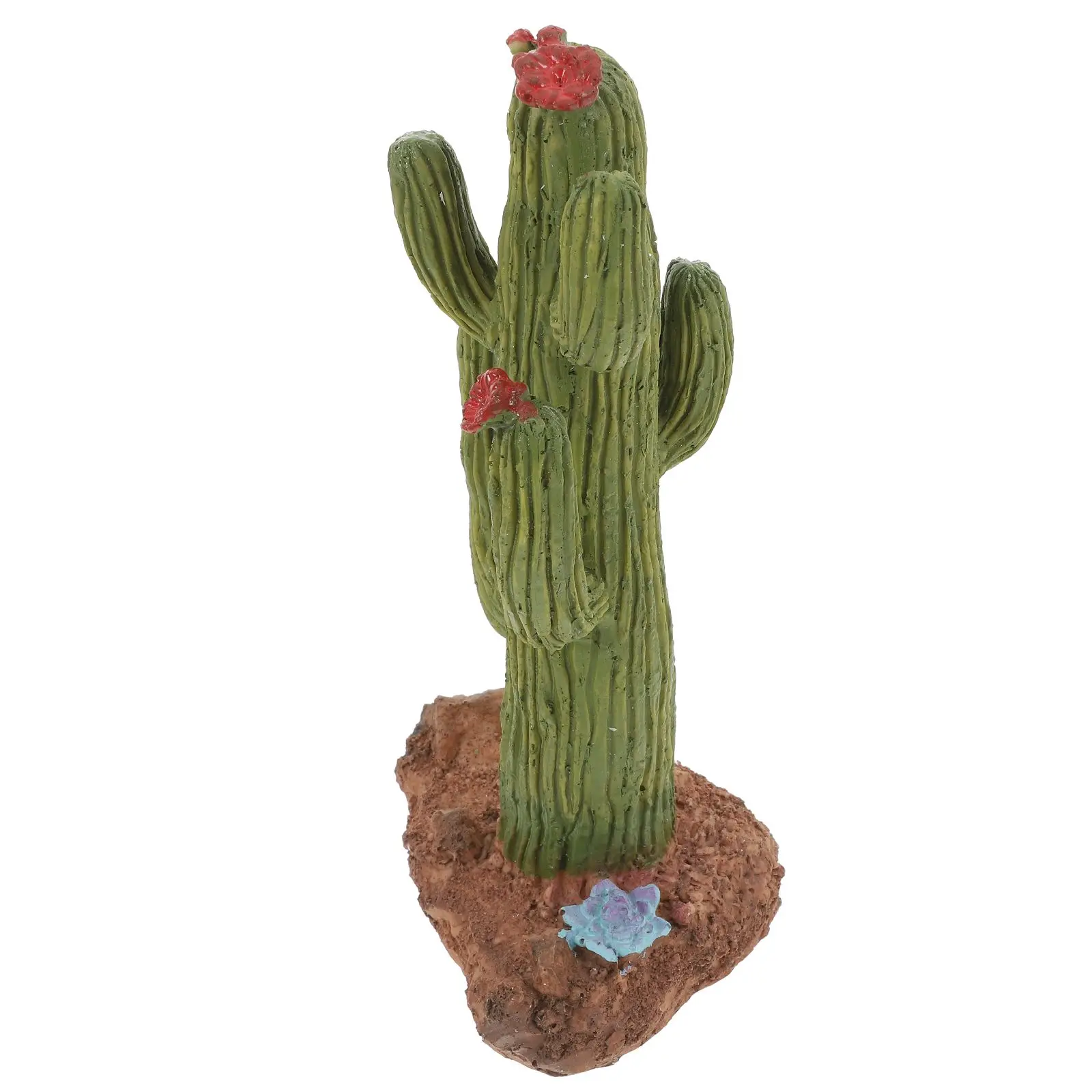 Cactus Ornament Artificial Plants Resin Decor Reptile Climbing Branch Drying Platform TORTOISE Easy
Cactus Ornament Artificial Plants Resin Decor Reptile Climbing Branch Drying Platform TORTOISE Easy