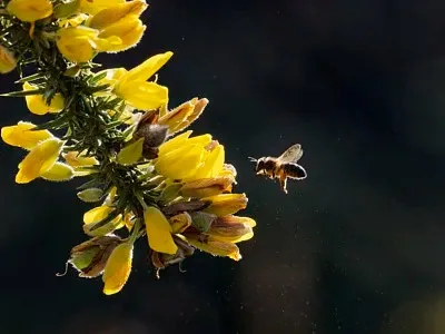 4 шт. 52 мм пластиковые колесные диски/ступицы для радиоуправляемых дрифт-машин 1/10 (Tamiya XV02, Kyosho, HSP, HPI, Sakura, Trxs, RedCat)
4 шт. 52 мм пластиковые колесные диски/ступицы для радиоуправляемых дрифт-машин 1/10 (Tamiya XV02, Kyosho, HSP, HPI, Sakura, Trxs, RedCat)