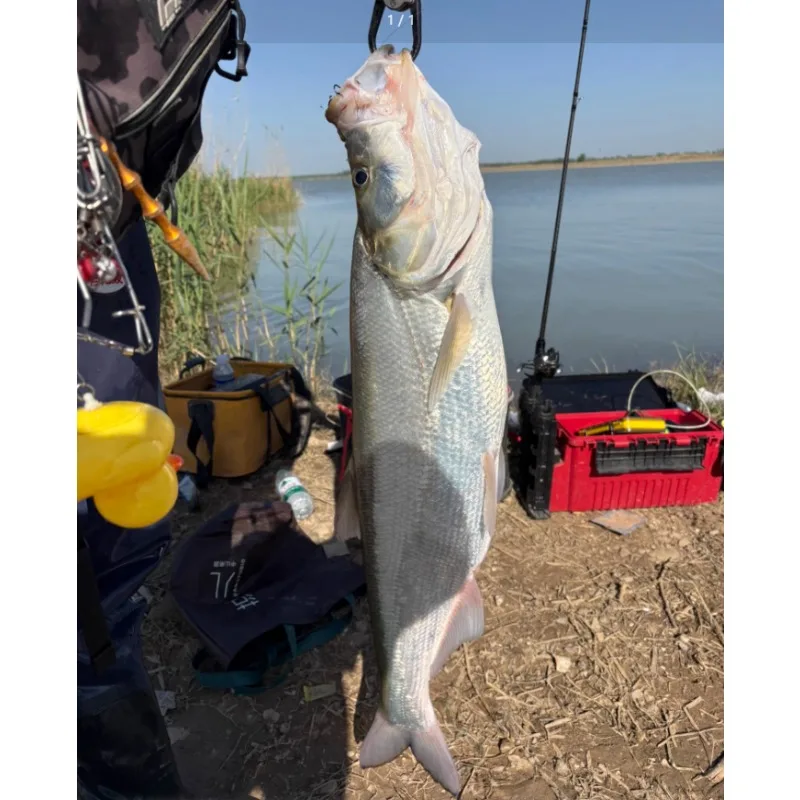 1 шт., искусственная микротвердая приманка 60 мм, медленно тонущая воблер с 2 крючками для озер, моря, окуня и приманки для мандариновой рыбы
1 шт., искусственная микротвердая приманка 60 мм, медленно тонущая воблер с 2 крючками для озер, моря, окуня и приманки для мандариновой рыбы