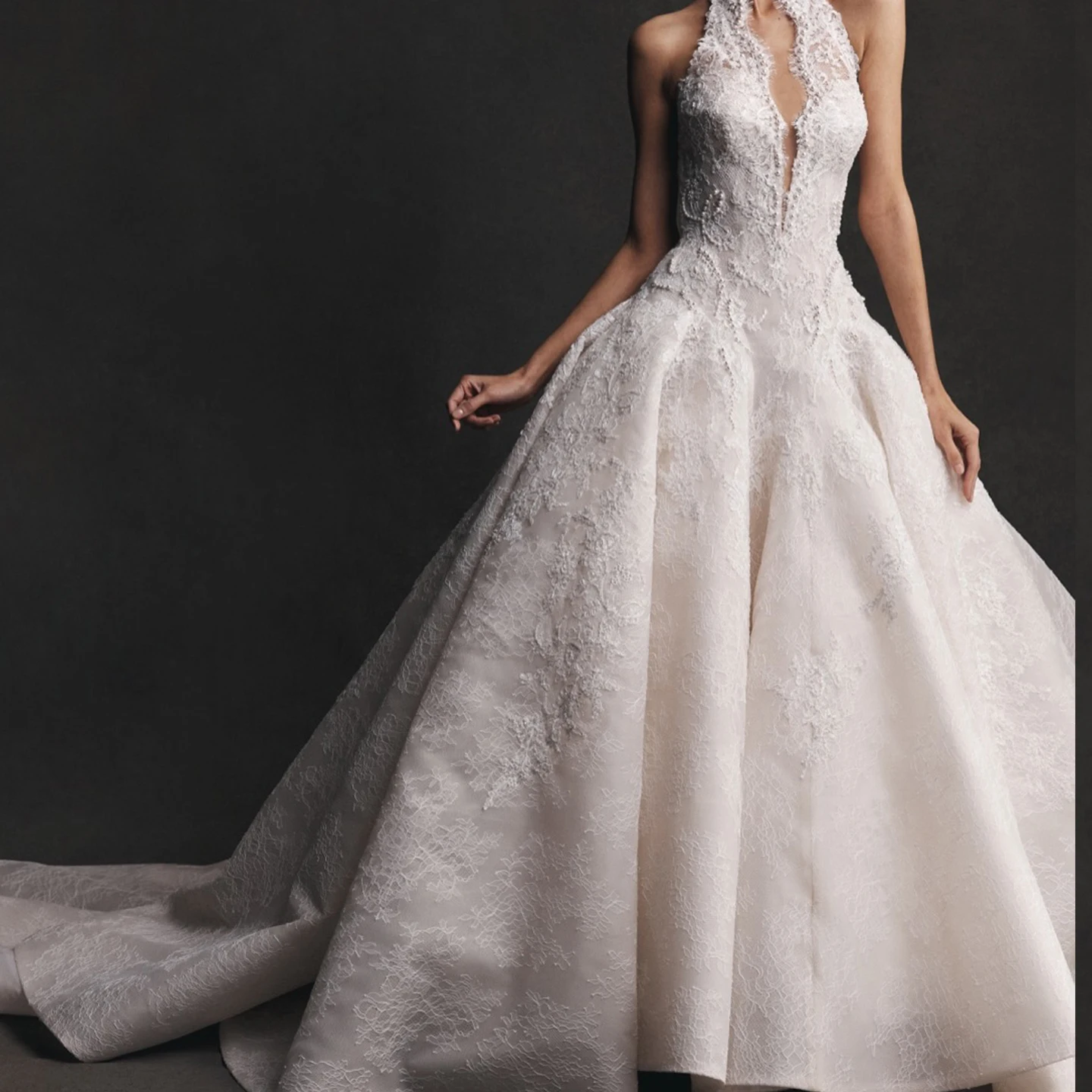 Sharon Said 2026 Elegant Lace Appliques Halter Deep V Neck Wedding Dress with Pearl Women Bride Ball Gown SW596 Customized
Sharon Said 2026 Elegant Lace Appliques Halter Deep V Neck Wedding Dress with Pearl Women Bride Ball Gown SW596 Customized