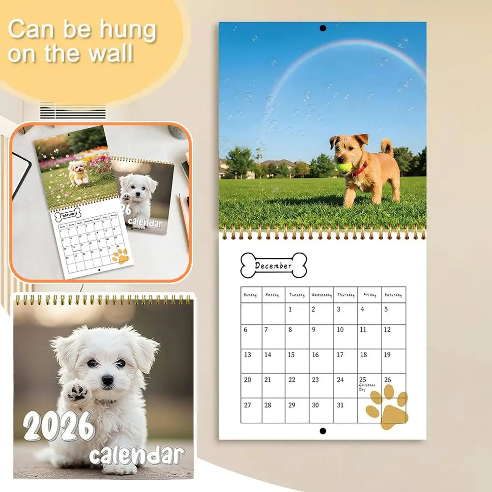 2026 New Dogs Calendar - Year Monthly Planner & Agenda Schedule Organizer Wall Calendar Decoration Funny Party Gifts For Friends
2026 New Dogs Calendar - Year Monthly Planner & Agenda Schedule Organizer Wall Calendar Decoration Funny Party Gifts For Friends