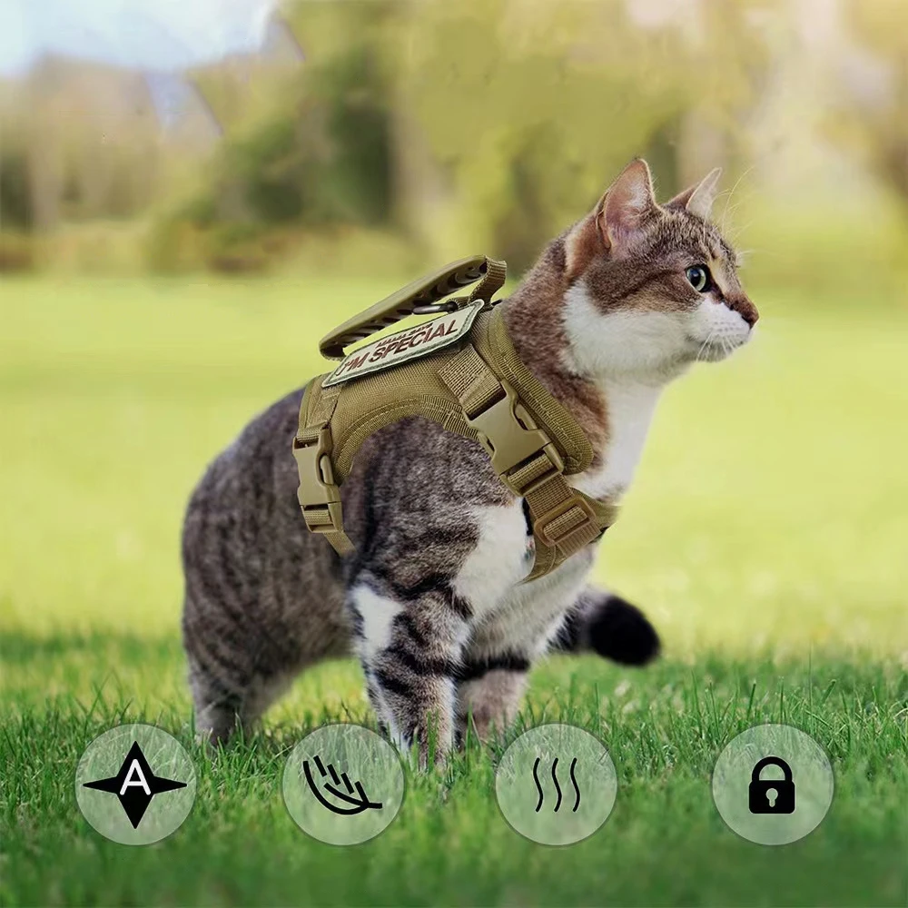Tactical Cat Harness with 2 Patches Stickers For Puppy Military Vest Harnesses Service Working Training Small Dogs Accessories
Tactical Cat Harness with 2 Patches Stickers For Puppy Military Vest Harnesses Service Working Training Small Dogs Accessories