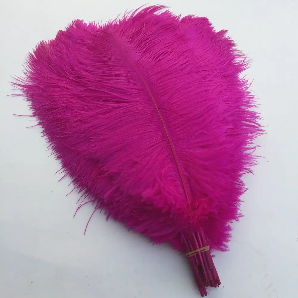 10pcs Rose Red Ostrich Feathers 16-18inch 40-45cm DIY Feather for Crafts Wedding Party Dress Decor Costume Accessories
10pcs Rose Red Ostrich Feathers 16-18inch 40-45cm DIY Feather for Crafts Wedding Party Dress Decor Costume Accessories