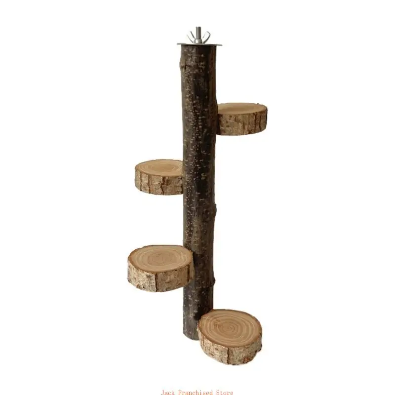 Parrot Cage Toy Bird Training Stand with Platform Toy Cockatiel Perch Gym Perch for Indoor Home
Parrot Cage Toy Bird Training Stand with Platform Toy Cockatiel Perch Gym Perch for Indoor Home