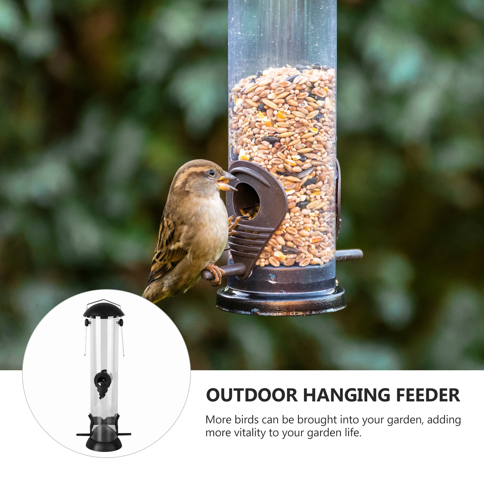1Pcs Hanging Bird Feeder Outdoor Plastic Bird Food Container Large Capacity Garden Decoration Outdoor Hanging Feeder
1Pcs Hanging Bird Feeder Outdoor Plastic Bird Food Container Large Capacity Garden Decoration Outdoor Hanging Feeder