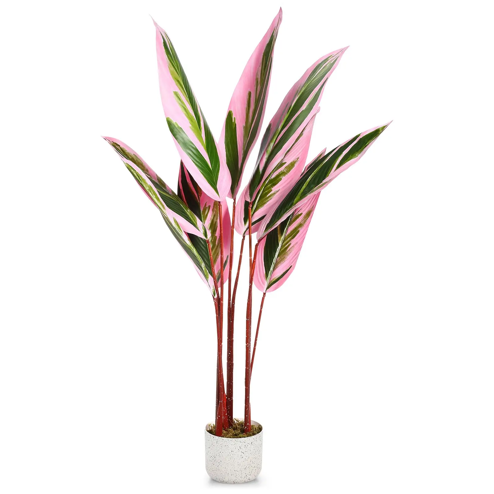 4ft Tall Lush Faux Potted Tree with Realistic Leaves, Durable UV-Resistant Indoor Artificial Plant for Home, Office, Patio Decor
4ft Tall Lush Faux Potted Tree with Realistic Leaves, Durable UV-Resistant Indoor Artificial Plant for Home, Office, Patio Decor