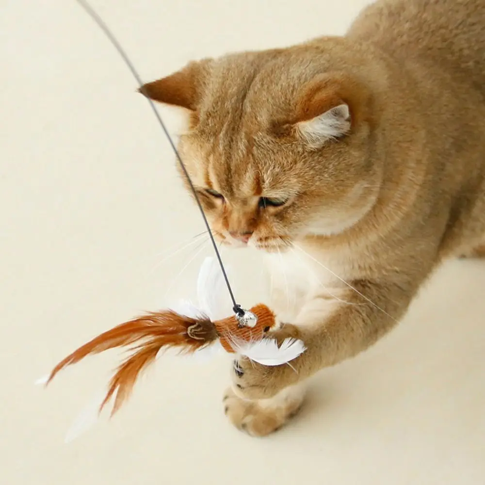Plush Simulated Bird Cat Stick Head Colorful Cat Teaser Stick Cat Teaser Stick Replacement Head Suction Cup Teaser Toy
Plush Simulated Bird Cat Stick Head Colorful Cat Teaser Stick Cat Teaser Stick Replacement Head Suction Cup Teaser Toy