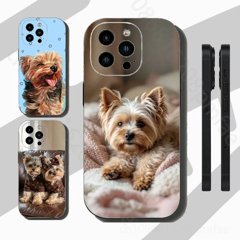 Dog Yorkshire Terrier Phone Case For iPhone 17,16,15,14,13,12,11 Pro,Max,Plus,X,XS
Dog Yorkshire Terrier Phone Case For iPhone 17,16,15,14,13,12,11 Pro,Max,Plus,X,XS