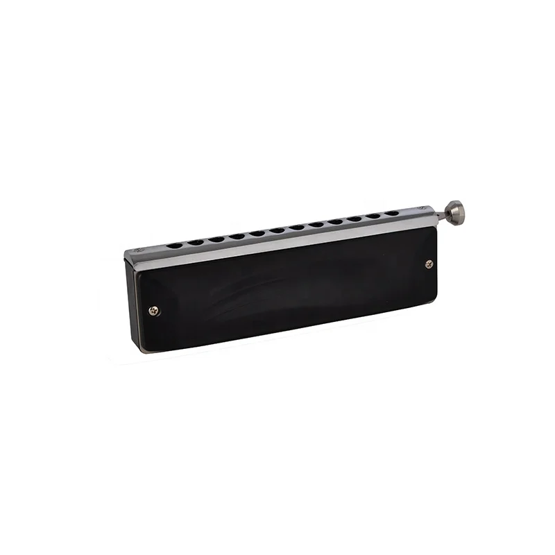 Hooqu Professional Chromatic Harmonica Basic Style 12 Hole Harmonica With Leather Case For Player
Hooqu Professional Chromatic Harmonica Basic Style 12 Hole Harmonica With Leather Case For Player