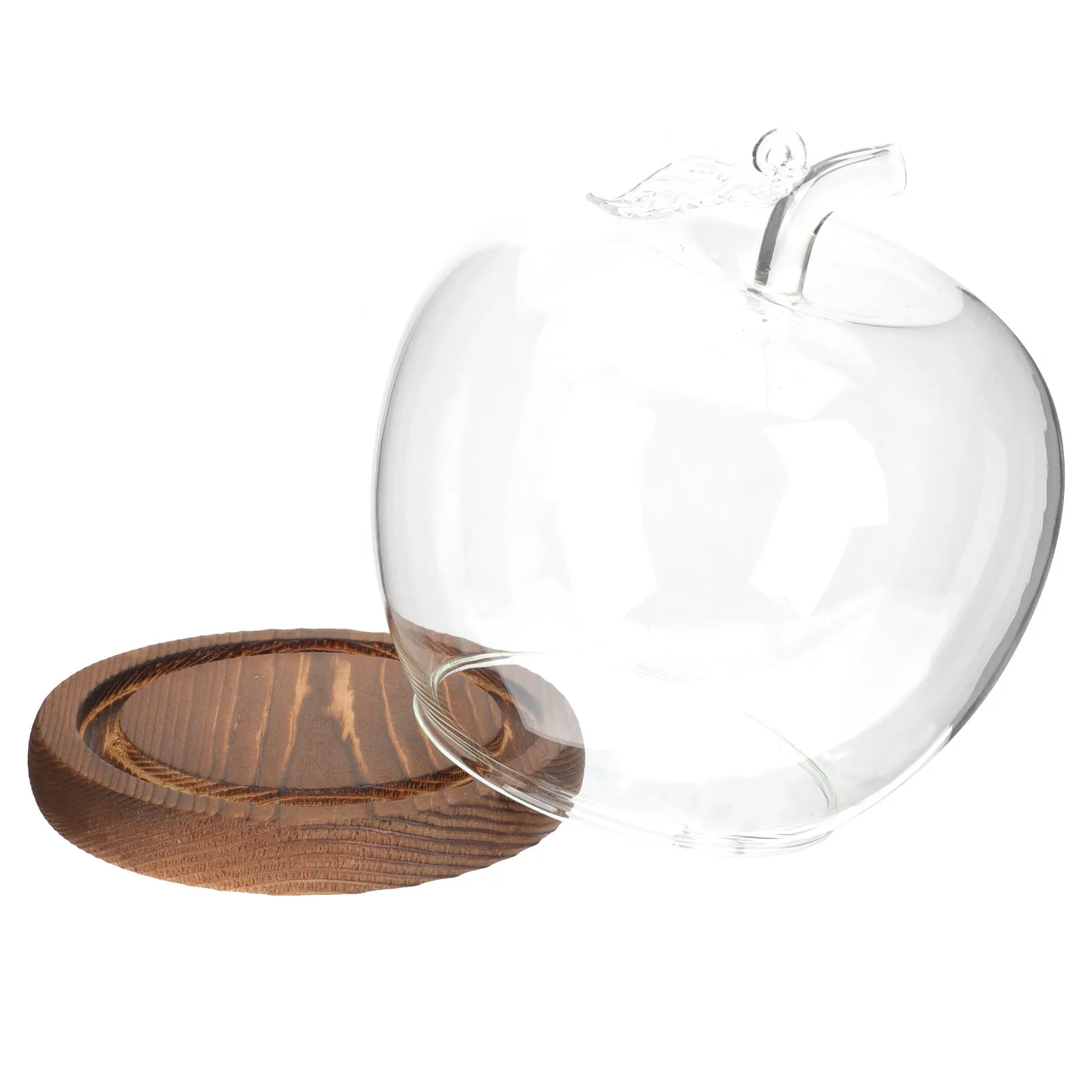 Glass Display Dome with Natural Wood Base for Preserved Flowers Craft Decoration Desktop Ornament Transparent Cloche Dome Decor
Glass Display Dome with Natural Wood Base for Preserved Flowers Craft Decoration Desktop Ornament Transparent Cloche Dome Decor