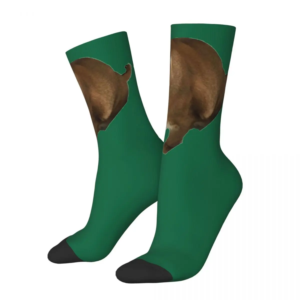 Big Floppa Socks Harajuku High Quality Stockings All Season Long Socks Accessories for Man's Woman's Christmas Gifts
Big Floppa Socks Harajuku High Quality Stockings All Season Long Socks Accessories for Man's Woman's Christmas Gifts
