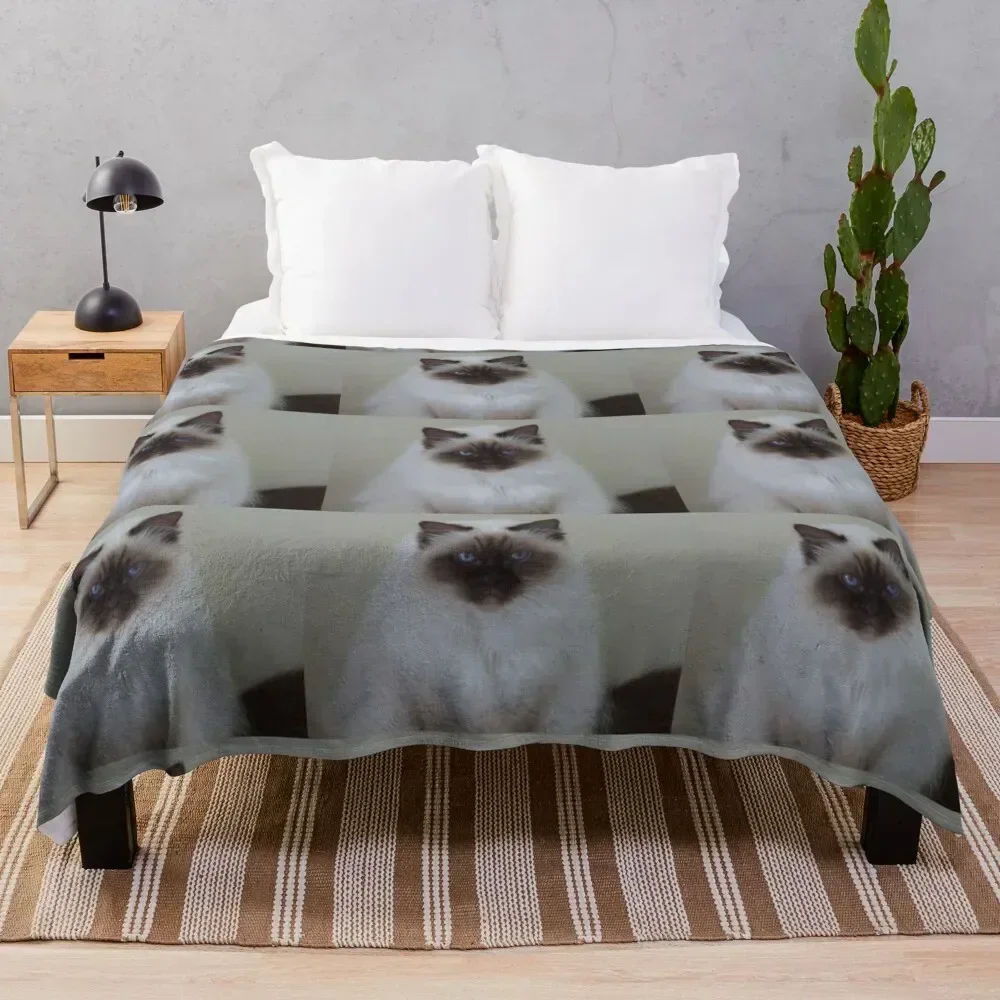 Baby Blue Eyes Throw Blanket All Season Lightweight Soft Blanket for Bed
Baby Blue Eyes Throw Blanket All Season Lightweight Soft Blanket for Bed