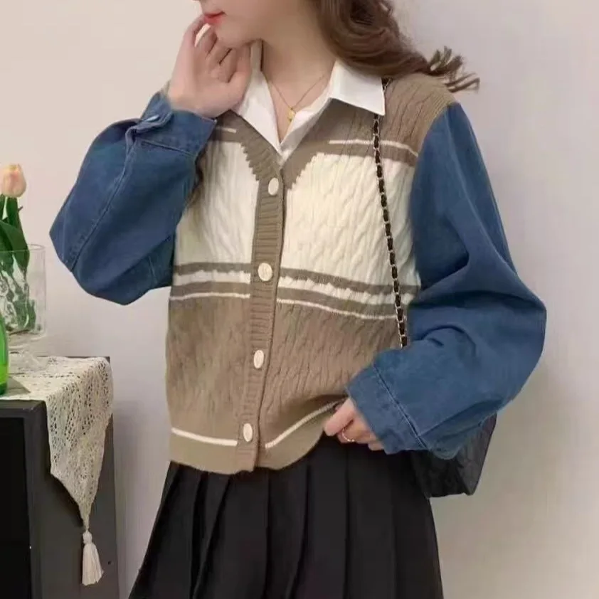 New Autumn and Winter Knitted Color Blocked Striped Loose V-neck Denim Sleeves Casual Style Sweater Women's Cardigan
New Autumn and Winter Knitted Color Blocked Striped Loose V-neck Denim Sleeves Casual Style Sweater Women's Cardigan