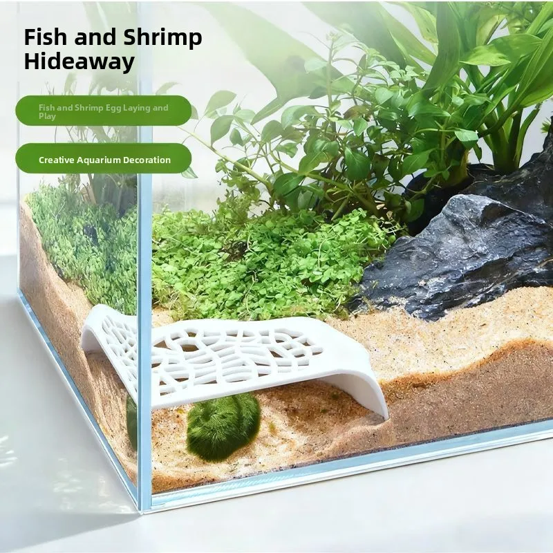 Subterranean Cave Design Aquarium Decoration Single Double Entrance Hiding House for Aquatic Pets Simp Decorative Lacape
Subterranean Cave Design Aquarium Decoration Single Double Entrance Hiding House for Aquatic Pets Simp Decorative Lacape