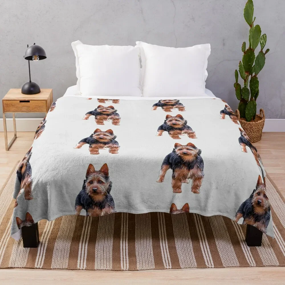 Australian Terrier Throw Blanket Bed covers Soft Beds warm for winter cosplay anime Blankets
Australian Terrier Throw Blanket Bed covers Soft Beds warm for winter cosplay anime Blankets
