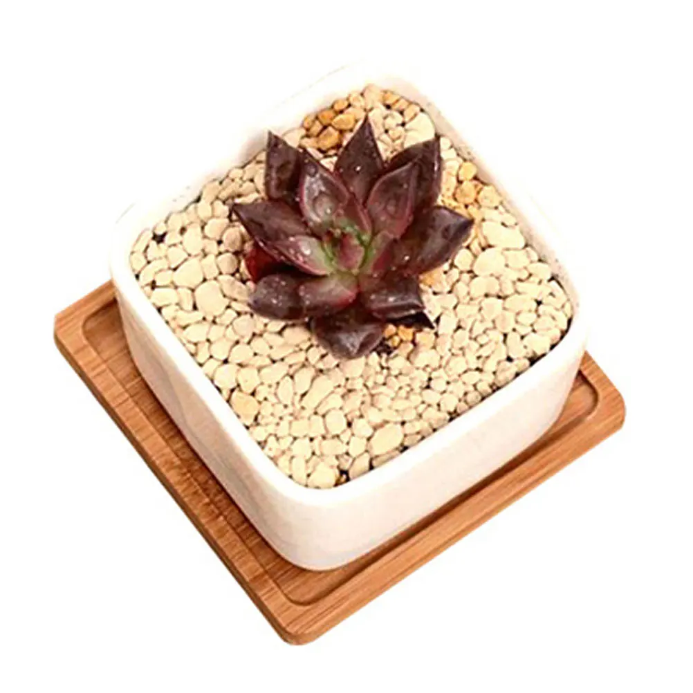 6 Pcs Bamboo Tray Planter for Succulents Indoor Decorative Flowerpot Holder Square Tray Plant Pot Storage Gardening
6 Pcs Bamboo Tray Planter for Succulents Indoor Decorative Flowerpot Holder Square Tray Plant Pot Storage Gardening