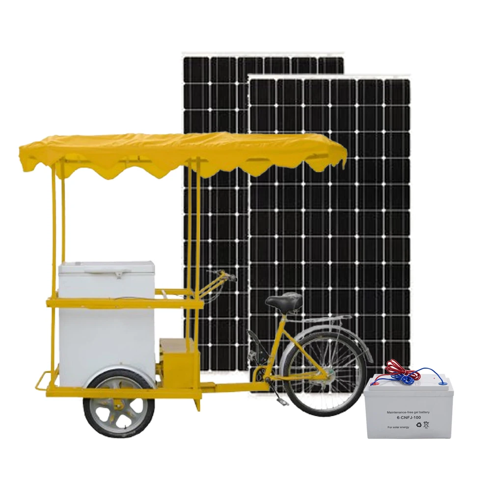 208L 12/24V Rechargeable Battery Powered Fridge Frozen Food Refrigerator Ice Cream Tricycle Solar Freezer With Solar Panel
208L 12/24V Rechargeable Battery Powered Fridge Frozen Food Refrigerator Ice Cream Tricycle Solar Freezer With Solar Panel