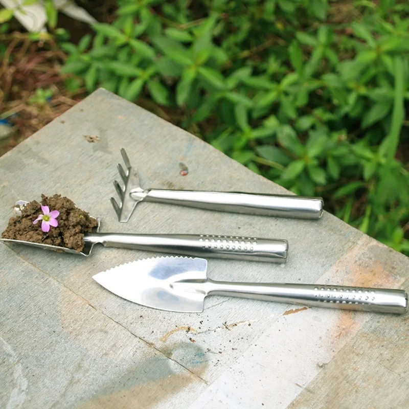 Garden Trowel Set 3PCS Mini Stainless Steel Trowel Weed Fork And Transplant Trowel Hand Tool Set For Gardener
Garden Trowel Set 3PCS Mini Stainless Steel Trowel Weed Fork And Transplant Trowel Hand Tool Set For Gardener